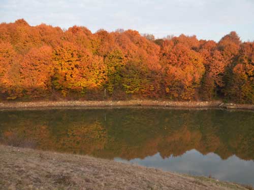 Foto Lacul Dobricel (c) Petru Goja